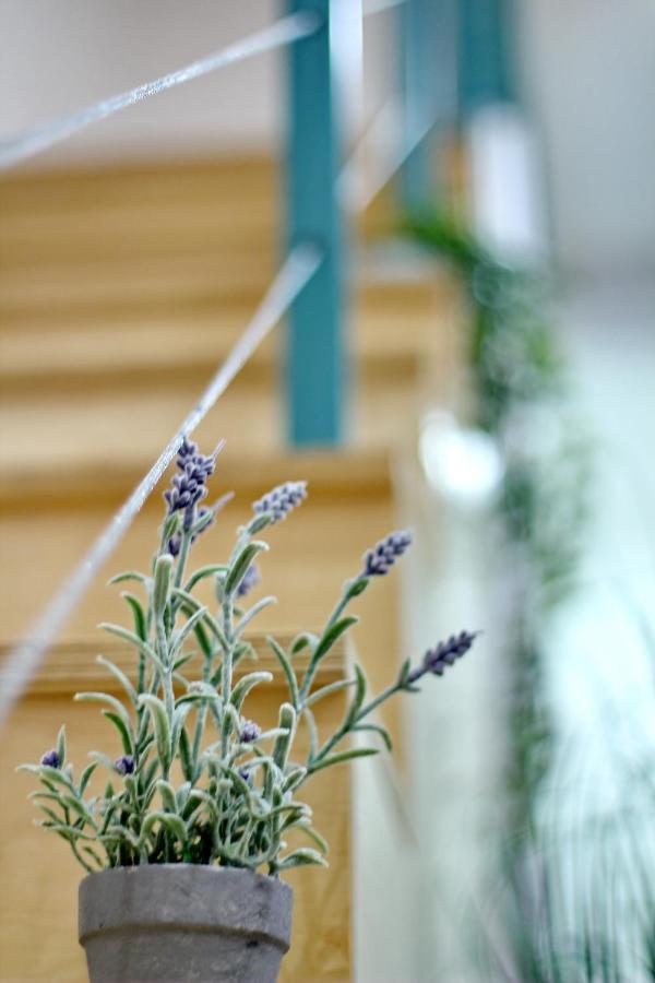 Lovely&Modern Downtown Apartment With Free Parking بودابست المظهر الخارجي الصورة